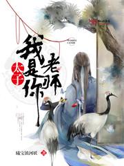 不见皎月