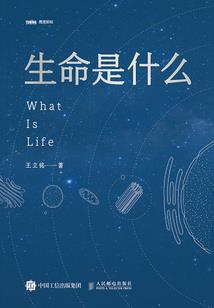 游历系统