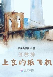 神奇宝贝之枭雄之路