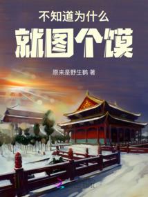 穿越之韩国宠儿