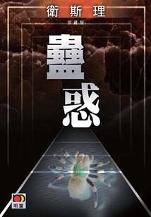 暖暖的星光