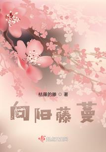 女皇驾到：少校大人请自重