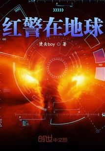 岁花簿