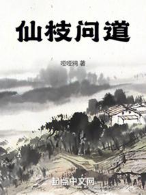 侦记