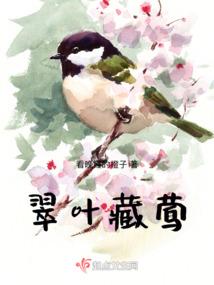 最美年华遇见你