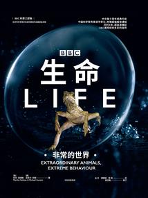 菩龙法师