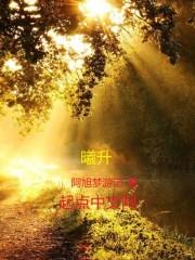 阿波罗正传