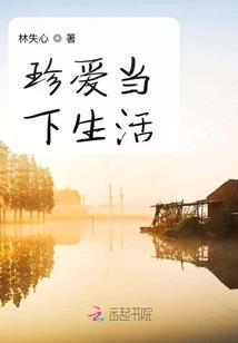 傻子的传奇人生