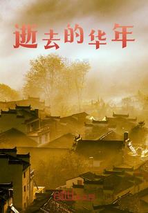 一瞬黑暗一世雷霆