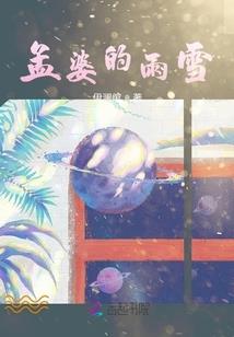 流星雨之化身成蝶