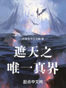 双子星最终战争