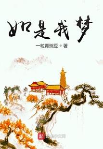 飞龙域