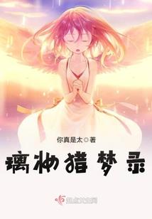 梦魅之旅