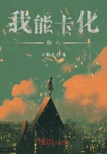 冷酷王爷的不良妃