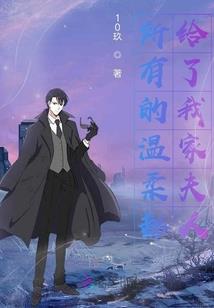 思君参度璇玑心：冰山王爷的影妻