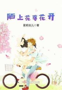 半樽清酒散年华