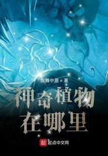 无敌武神版系统