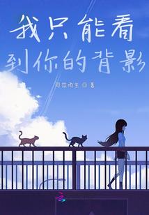 夕阳下的地平线