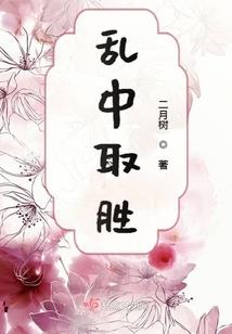 五朵金花闪耀绽放
