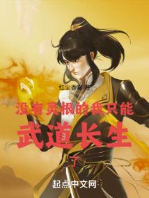 板砖奇遇记