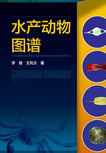 末日血歌行