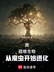 奇点：圣战变奏