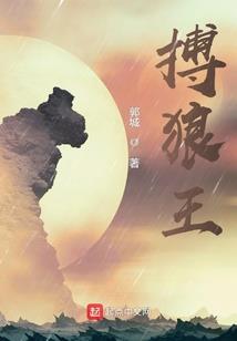 提督大人脑袋有个洞