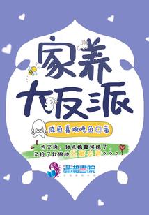 纵横者