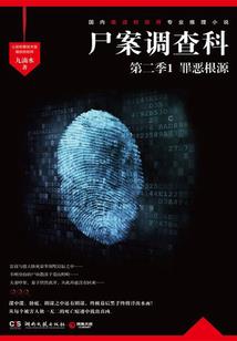 凌战九州