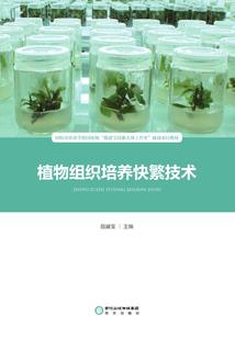 学院异界之升级契约
