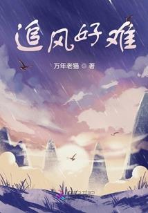 七龙珠四之西经传说