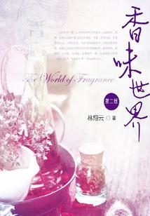 虫洞公司