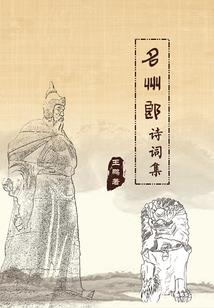 总裁的痴情妻（全本）