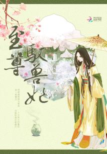 凤华嫡妃