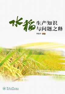 村花进城