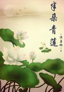 庶女逆妃王爷你别跑