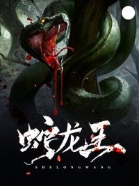 变身卡牌公主