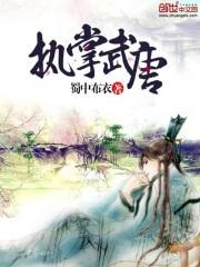 龙凤吟之不再流浪