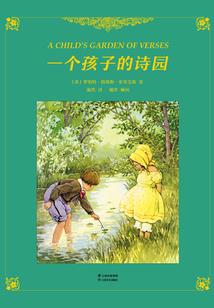 天元境域