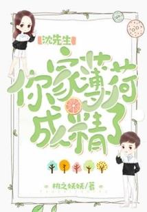 美人无泪美人无罪