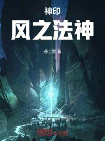 宠物小精灵之冠军至上