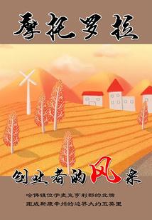 风华—焚冰
