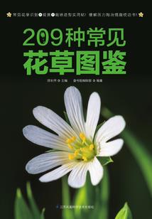诡异进化：从人偶开始登神