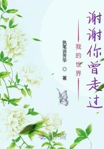 夙世轮回书