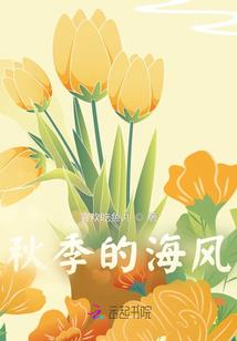 穿越之丫鬟升职记