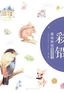 梦中城掌中梦