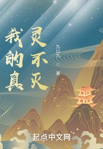 天才王爷调皮妃