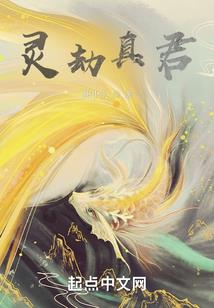 步步天歌
