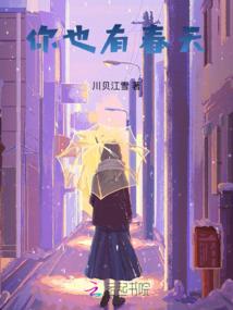 神奇宝贝之我叫小风