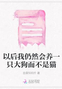 西欧战争